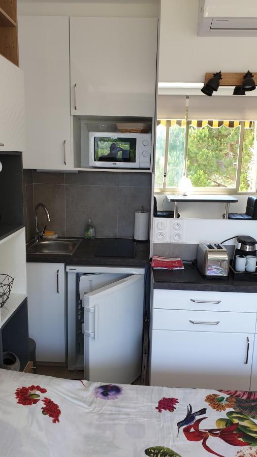 Garden And Beach Sea View Apartment Cannes Mandelieu Dış mekan fotoğraf