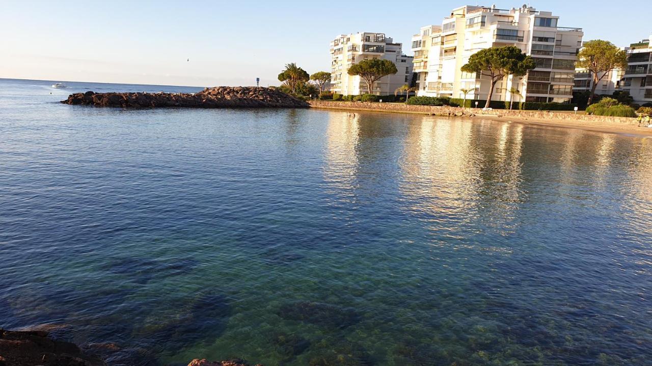 Garden And Beach Sea View Apartment Cannes Mandelieu Dış mekan fotoğraf